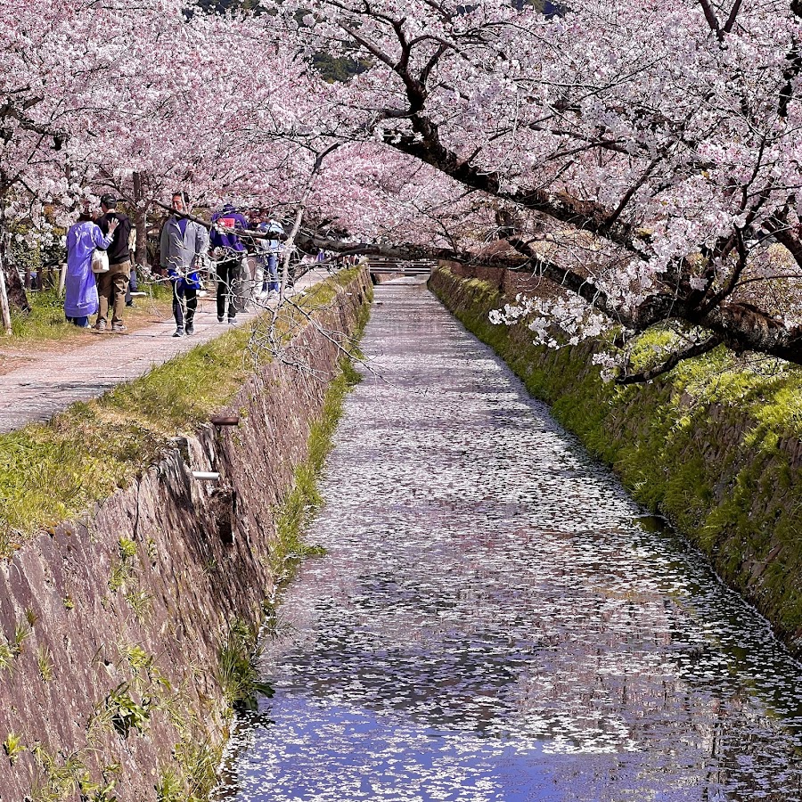 Philosopher's Path (Tetsugaku no Michi) in Kyoto